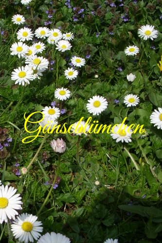Gänseblümchen