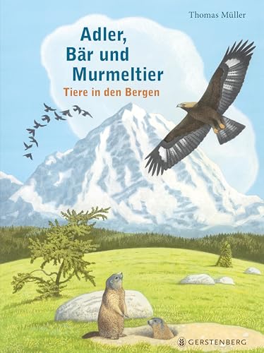 Adler, Bär und Murmeltier: Tiere in den Bergen von Gerstenberg Verlag