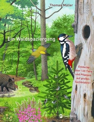 Ein Waldspaziergang (Sauerländer Kindersachbuch) von Fischer Sauerländer