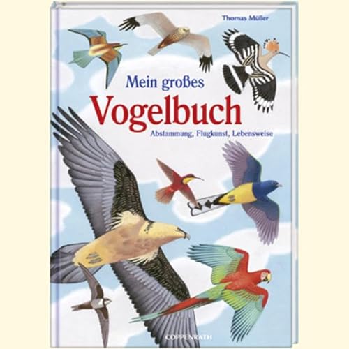 Mein großes Vogelbuch: Abstammung, Flugkunst, Lebensweise (Kreativ- und Sachbücher)