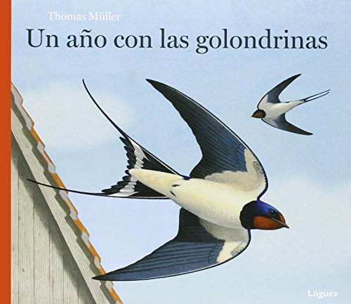 Un año con las golondrinas