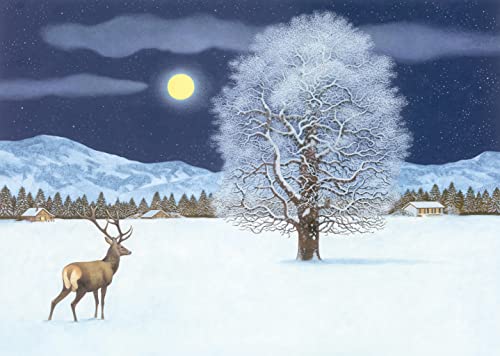 Zauberhafte Winternacht Adventskalender: mit 24 Klapptürchen
