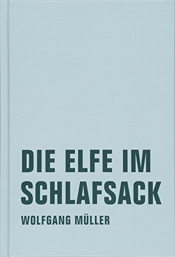 Die Elfe im Schlafsack: Neue Märchen und Fabeln aus Island