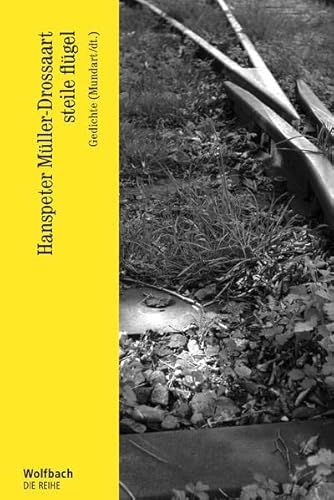 steile flügel: Gedichte (Mundart/dt.) (Die Reihe)