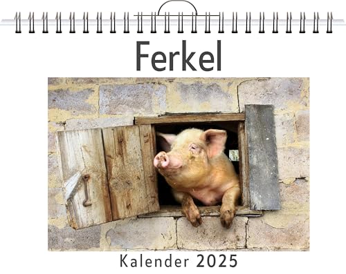 Ferkel - (Wandkalender 2025, Kalender DIN A4 quer, Monatskalender im Querformat mit Kalendarium, das perfekte Geschenk) von FlipFlop