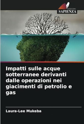 Impatti sulle acque sotterranee derivanti dalle operazioni nei giacimenti di petrolio e gas von Edizioni Sapienza