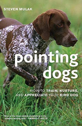 Pointing Dogs: How to Train, Nurture, and Appreciate Your Bird Dog