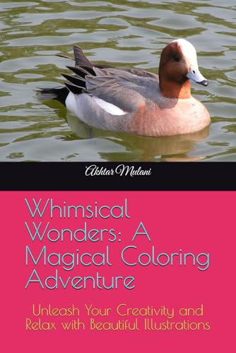 Whimsical Wonders: A Magical Coloring Adventure: Unleash Your Creativity and Relax with Beautiful Illustrations von Independently published