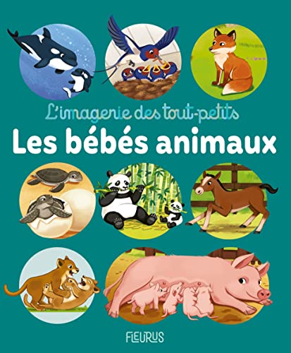Les bébés animaux Les bébés animaux von FLEURUS