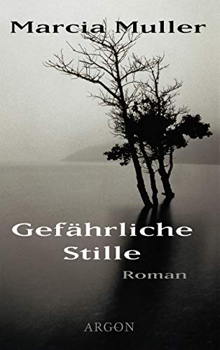 Gefährliche Stille: Roman