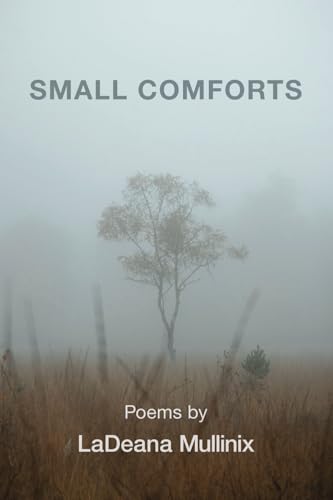 Small Comforts Small Comforts von Kelsay Books