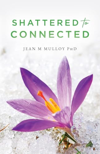 Shattered to Connected von Palmetto Publishing