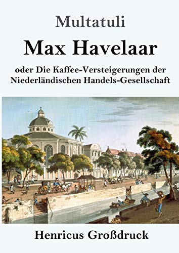 Max Havelaar (Großdruck): oder Die Kaffee-Versteigerungen der Niederländischen Handels-Gesellschaft