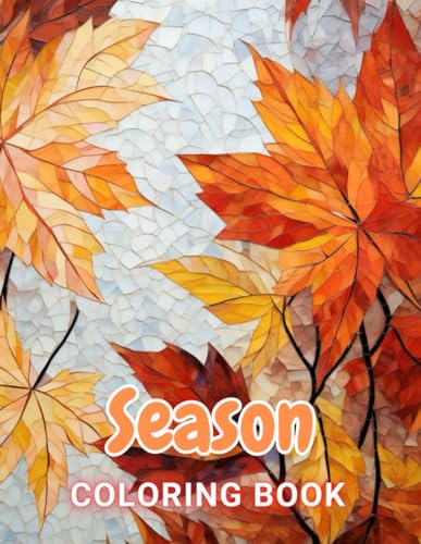Season Coloring Book: 100+ Exciting And Easy Coloring Pages von Independently published