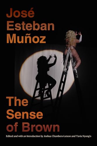 The Sense of Brown (Perverse Modernities) von Duke University Press