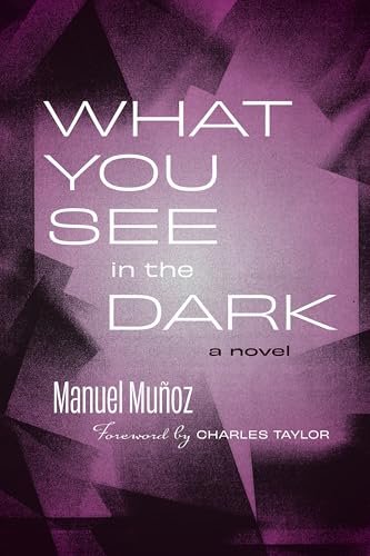 What You See in the Dark: A Novel von Triquarterly Books