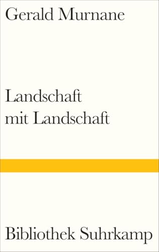 Landschaft mit Landschaft (Bibliothek Suhrkamp)