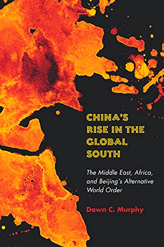 China's Rise in the Global South: The Middle East, Africa, and Beijing's Alternative World Order von Stanford University Press