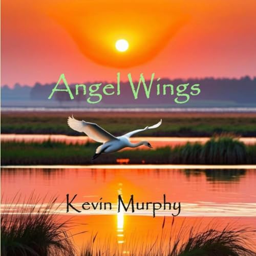 Angel Wings von Independently published