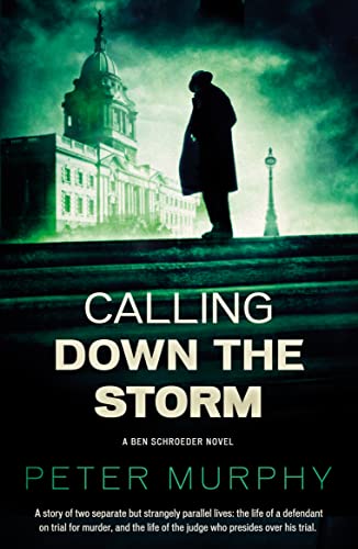 Calling Down The Storm: The Fifth Ben Schroeder Legal Thriller von Oldcastle Books