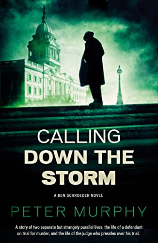 Calling Down The Storm: The Fifth Ben Schroeder Legal Thriller