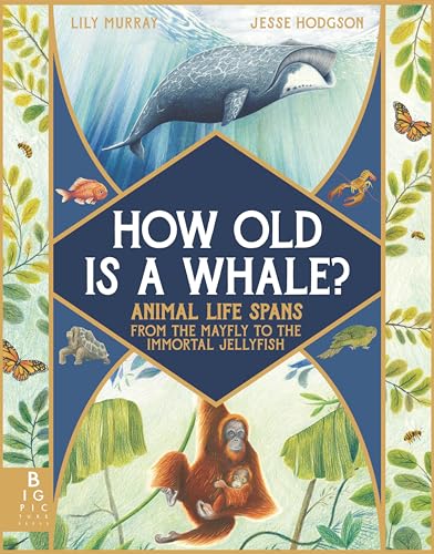 How Old Is a Whale?: Animal Life Spans from the Mayfly to the Immortal Jellyfish