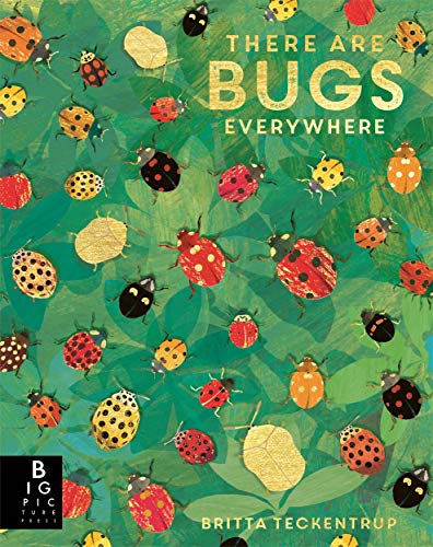 There are Bugs Everywhere von Big Picture Press