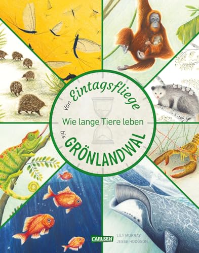 Von Eintagsfliege bis Grönlandwal: Wie lange Tiere leben | Sachbuch über das Leben von 27 besonderen Tierarten. Für Kinder ab 5. von Carlsen