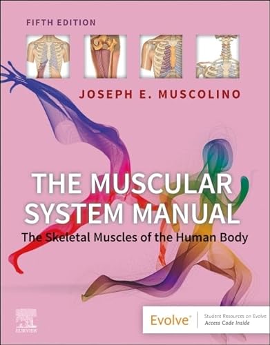 The Muscular System Manual: The Skeletal Muscles of the Human Body von Elsevier