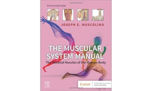 The Muscular System Manual: The Skeletal Muscles of the Human Body von Elsevier