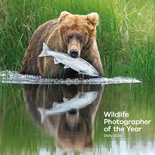 Wildlife Photographer of the Year Desk Diary 2024 (Wildlife Photographer of the Year Diaries) von Natural History Museum