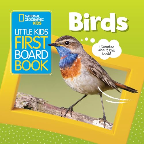 Little Kids First Board Book: Birds