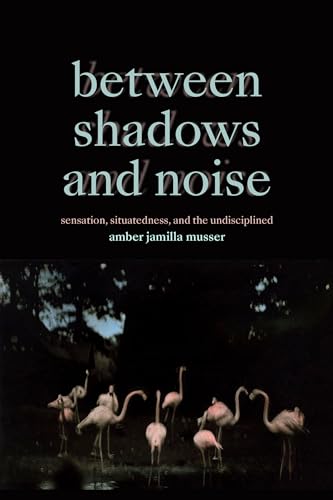 Between Shadows and Noise: Sensation, Situatedness, and the Undisciplined von Duke University Press