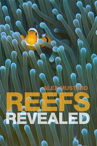 Reefs Revealed von Constable