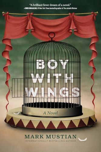 Boy With Wings von Koehler Books