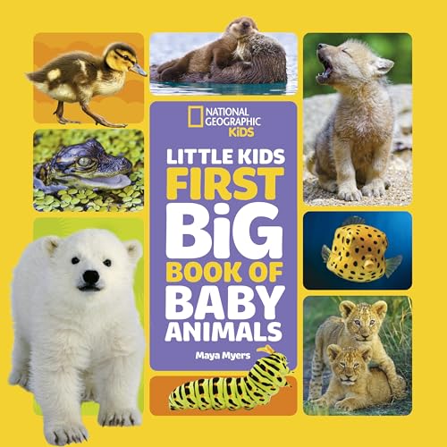 Little Kids First Big Book of Baby Animals (Little Kids First Big Books)