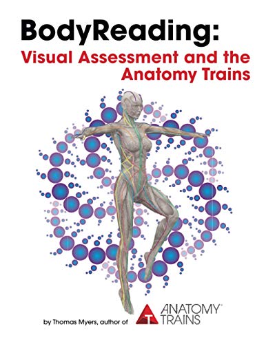 BodyReading: Visual Assessment and the Anatomy Trains von Anatomy Trains