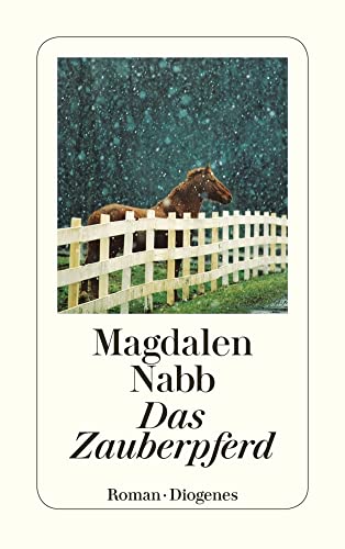 Das Zauberpferd: Roman (detebe)