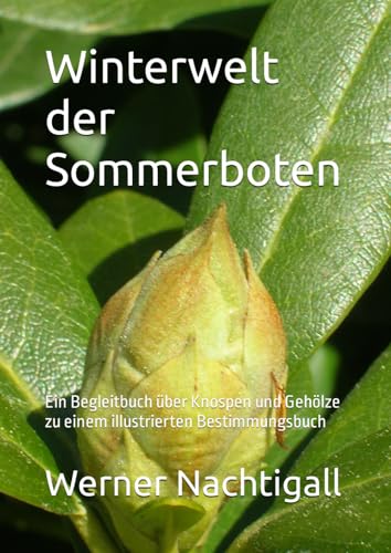 Winterwelt der Sommerboten: Ein Begleitbuch über Knospen und Gehölze zu einem illustrierten Bestimmungsbuch Winterwelt der Sommerboten: Ein Begleitbuch über Knospen und Gehölze zu einem illustrierten Bestimmungsbuch