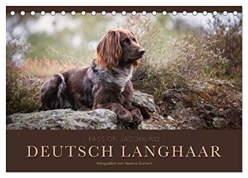 Passion Jagdhund - Deutsch Langhaar (Tischkalender 2024 DIN A5 quer), CALVENDO Monatskalender