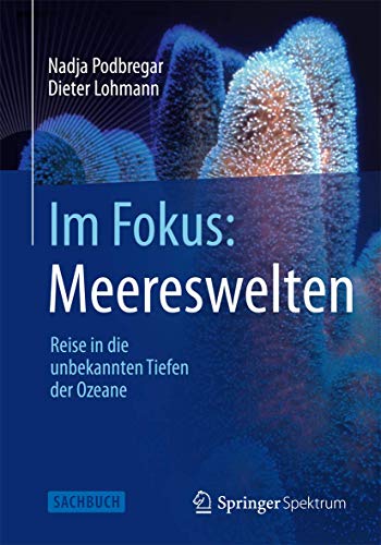 Im Fokus: Meereswelten: Reise in die unbekannten Tiefen der Ozeane (Naturwissenschaften im Fokus) von Springer Spektrum