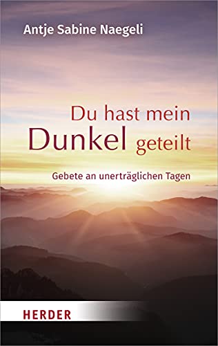 Du hast mein Dunkel geteilt: Gebete an unerträglichen Tagen von Herder