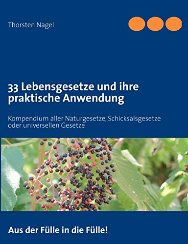 33 Lebensgesetze und ihre praktische Anwendung: Kompendium aller Naturgesetze, Schicksalsgesetze oder universellen Gesetze von Books on Demand GmbH