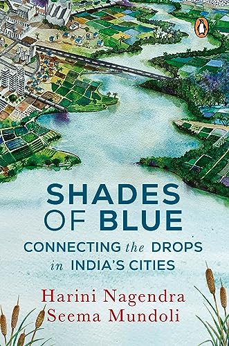 Shades of Blue: Connecting the Drops in India's Cities