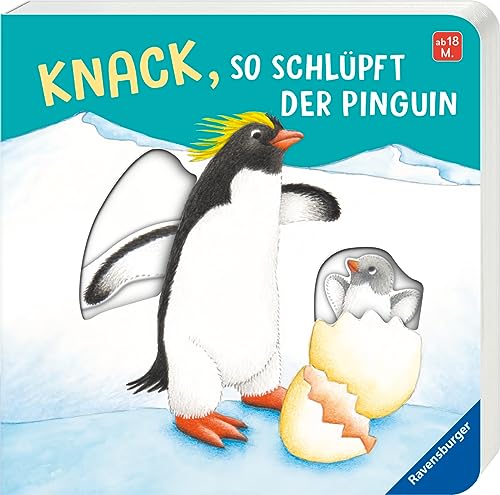 Knack, so schlüpft der Pinguin: Mein erstes Schiebebuch Knack, so schlüpft der Pinguin: Mein erstes Schiebebuch