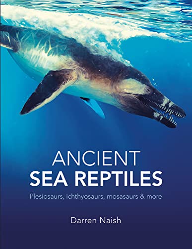 Ancient Sea Reptiles: Plesiosaurs, ichthyosaurs, mosasaurs and more