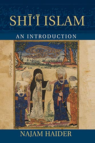 Shi'i Islam: An Introduction (Introduction to Religion) von Cambridge University Press