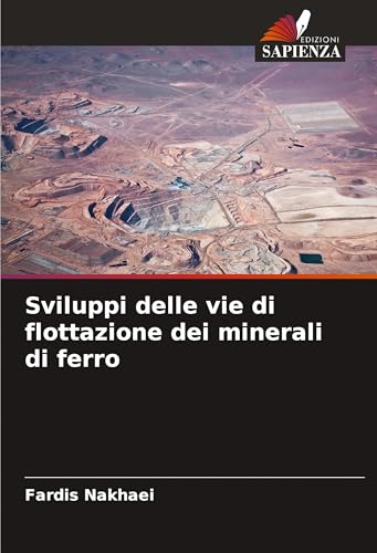 Sviluppi delle vie di flottazione dei minerali di ferro von Edizioni Sapienza