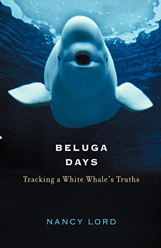 Beluga Days: Tracking a White Whale's Truths Beluga Days: Tracking a White Whale's Truths von Counterpoint