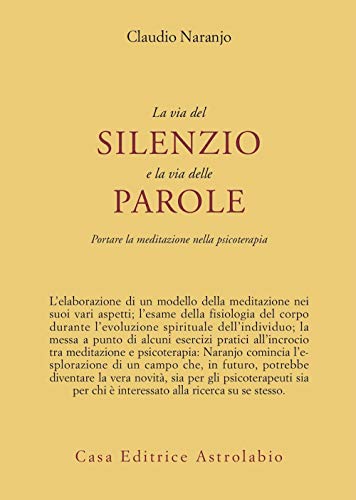 La via del silenzio e la via delle parole. Portare la meditazione nella psicoterapia (Psiche e coscienza)